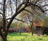 земля 6 сот садоводческое товарищество Бетонщик