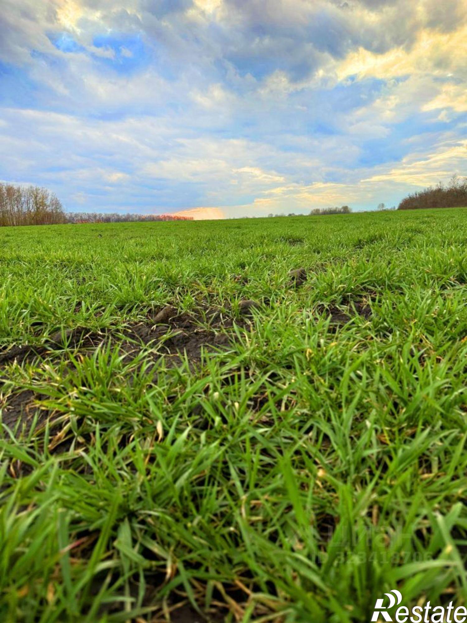 Купить землю, земельный участок за 800 000 рублей на Рыбновский район