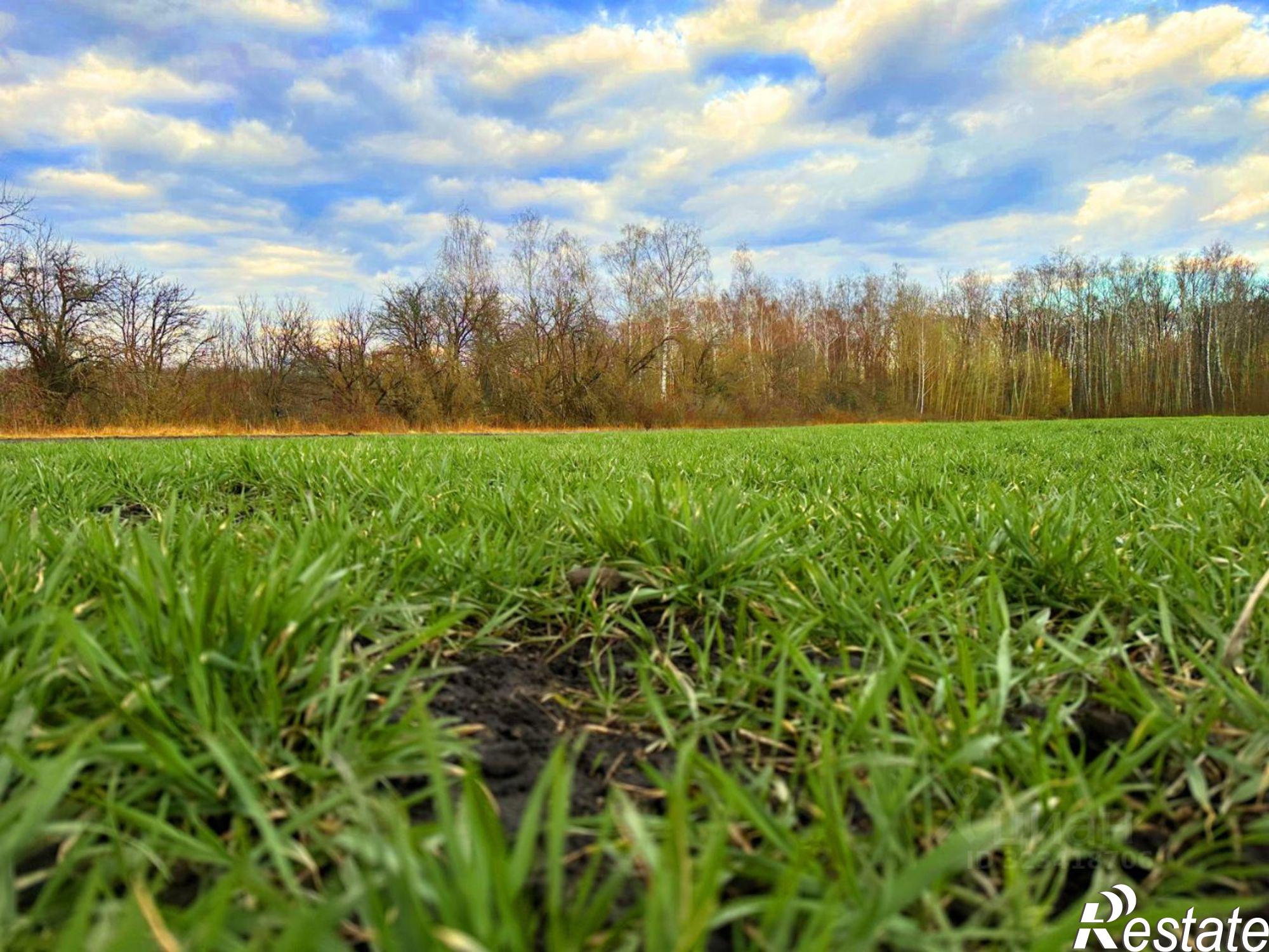 Купить землю, земельный участок за 800 000 рублей на Рыбновский район