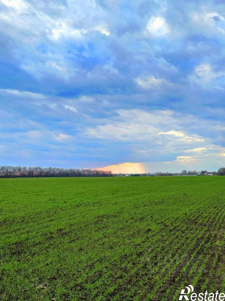 Земельный участок Рыбновский район