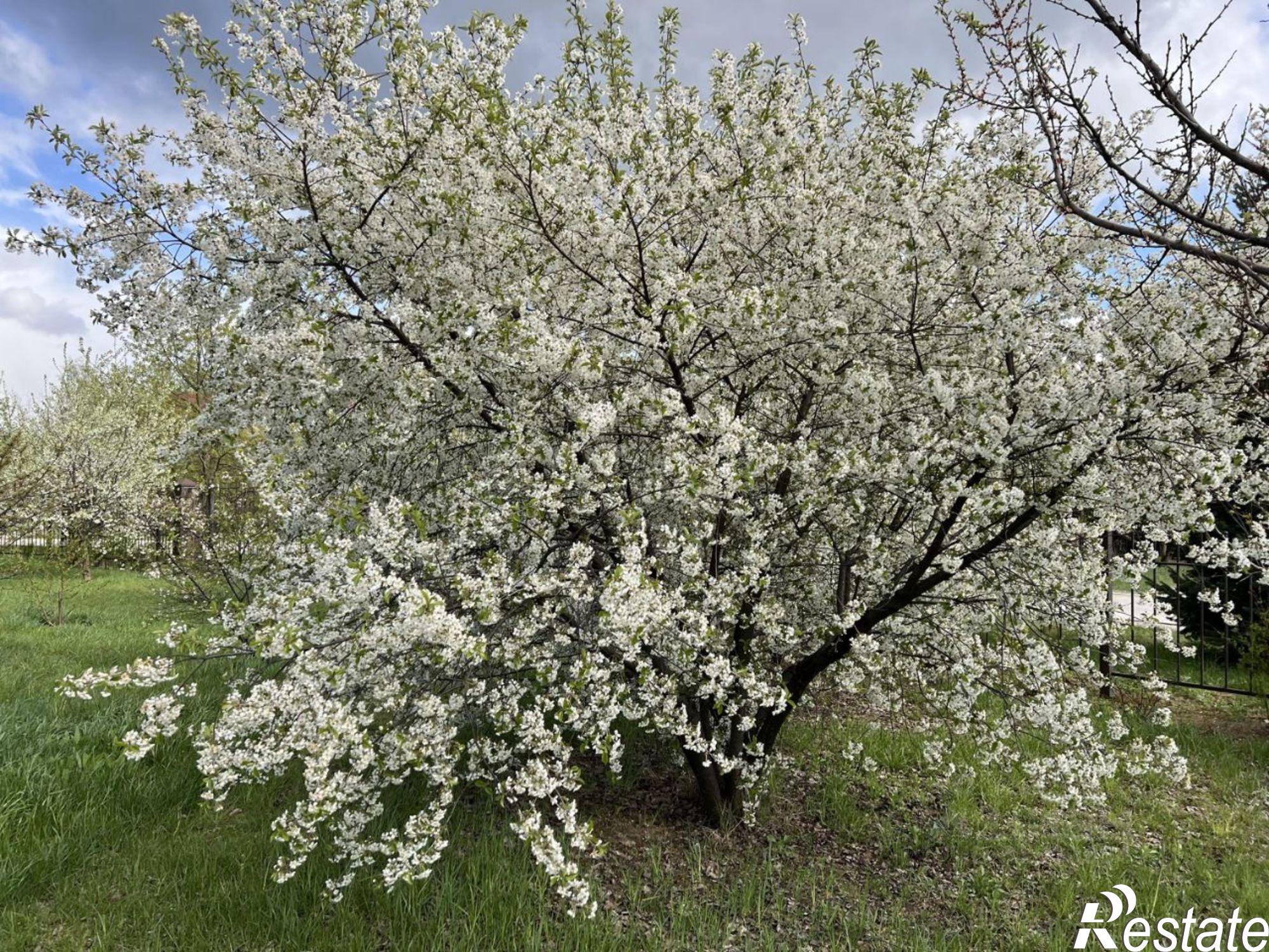 Купить землю, земельный участок за 6 420 000 рублей на Рязанский район