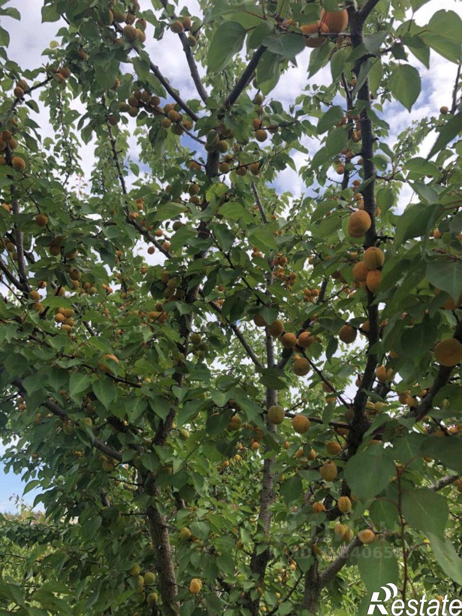 Купить землю, земельный участок за 6 420 000 рублей на Рязанский район