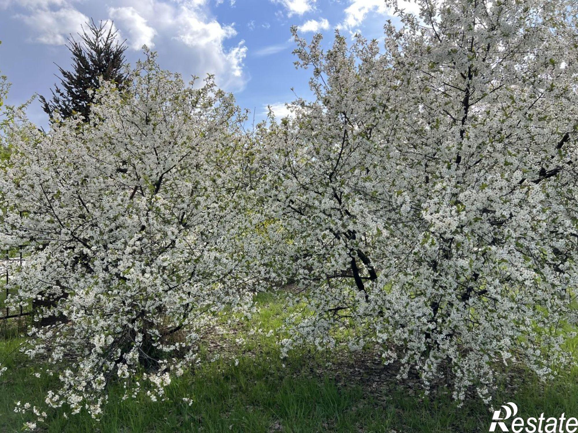 Купить землю, земельный участок за 6 420 000 рублей на Рязанский район