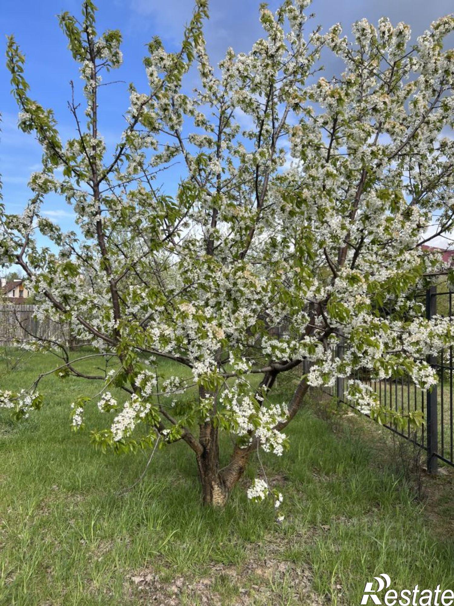 Купить землю, земельный участок за 6 420 000 рублей на Рязанский район