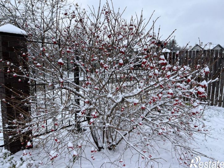 Земельный участок Рязанский район
