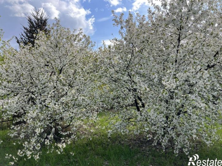 Земельный участок Рязанский район
