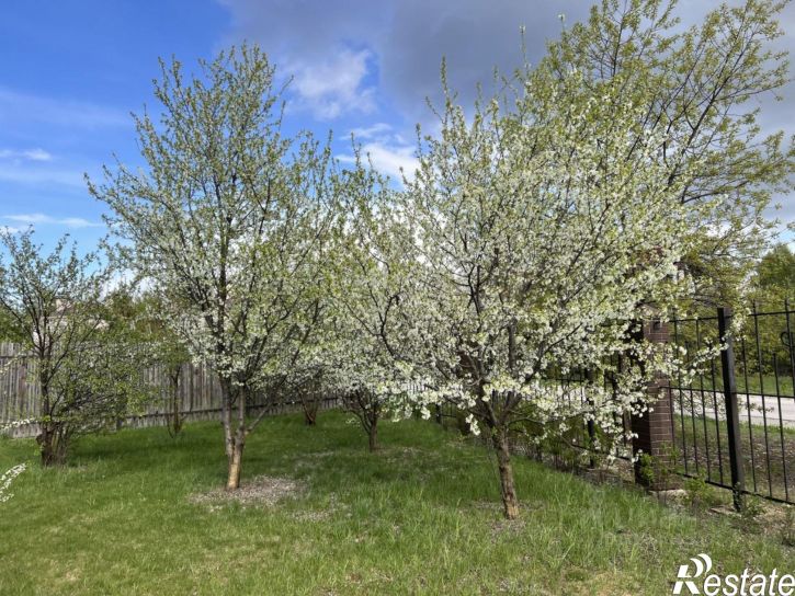 Земельный участок Рязанский район