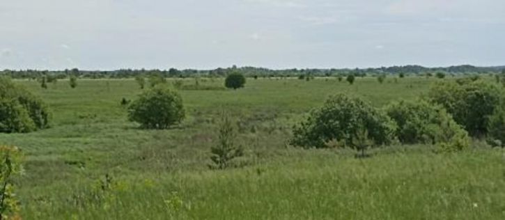 Земельный участок Рязанская улица