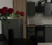 1-комн, 45 кв м, этаж 3/19 улица Земнухова, 3