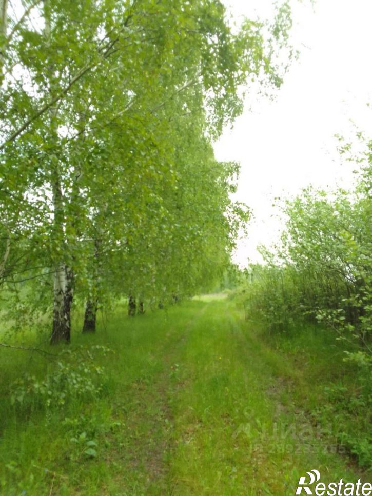 Земельный участок Центральная улица, 16Б,  д. 16Б