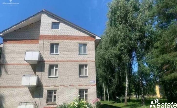 1-комн квартира Спасский муниципальный округ, село Собчаково, Спасская улица, 3