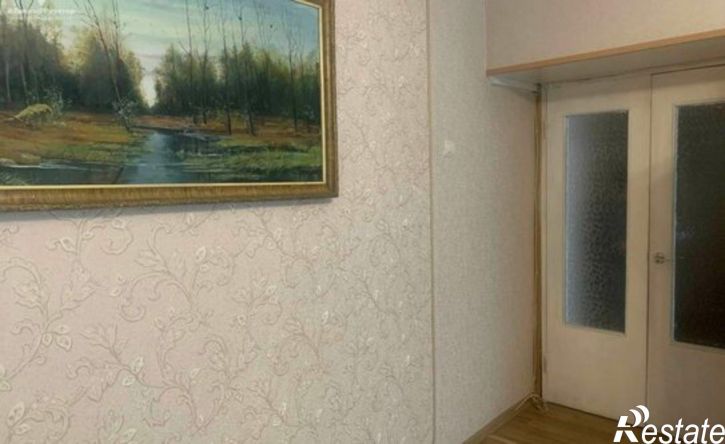 1-комн квартира Спасский муниципальный округ, село Собчаково, Спасская улица, 3